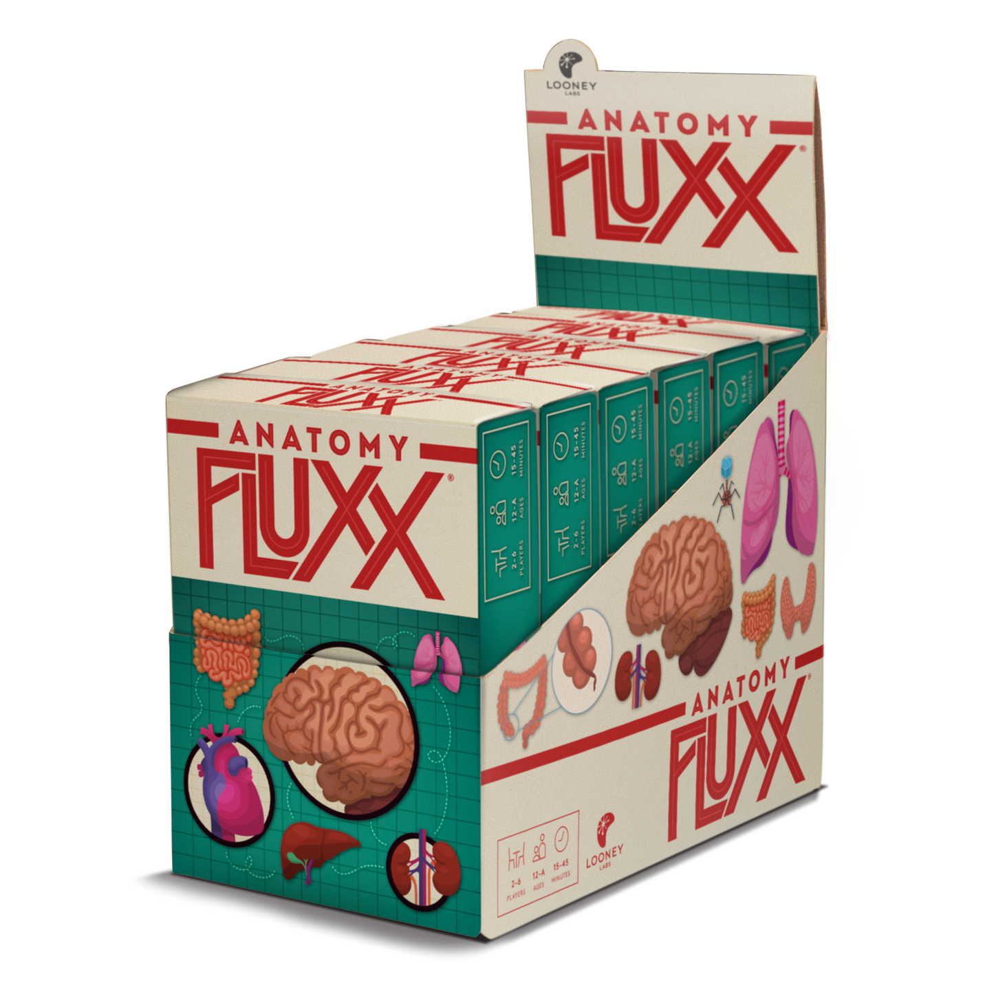 Anatomy Fluxx