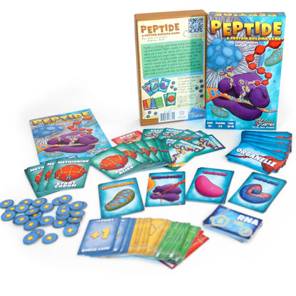 Peptide Protein Building Game