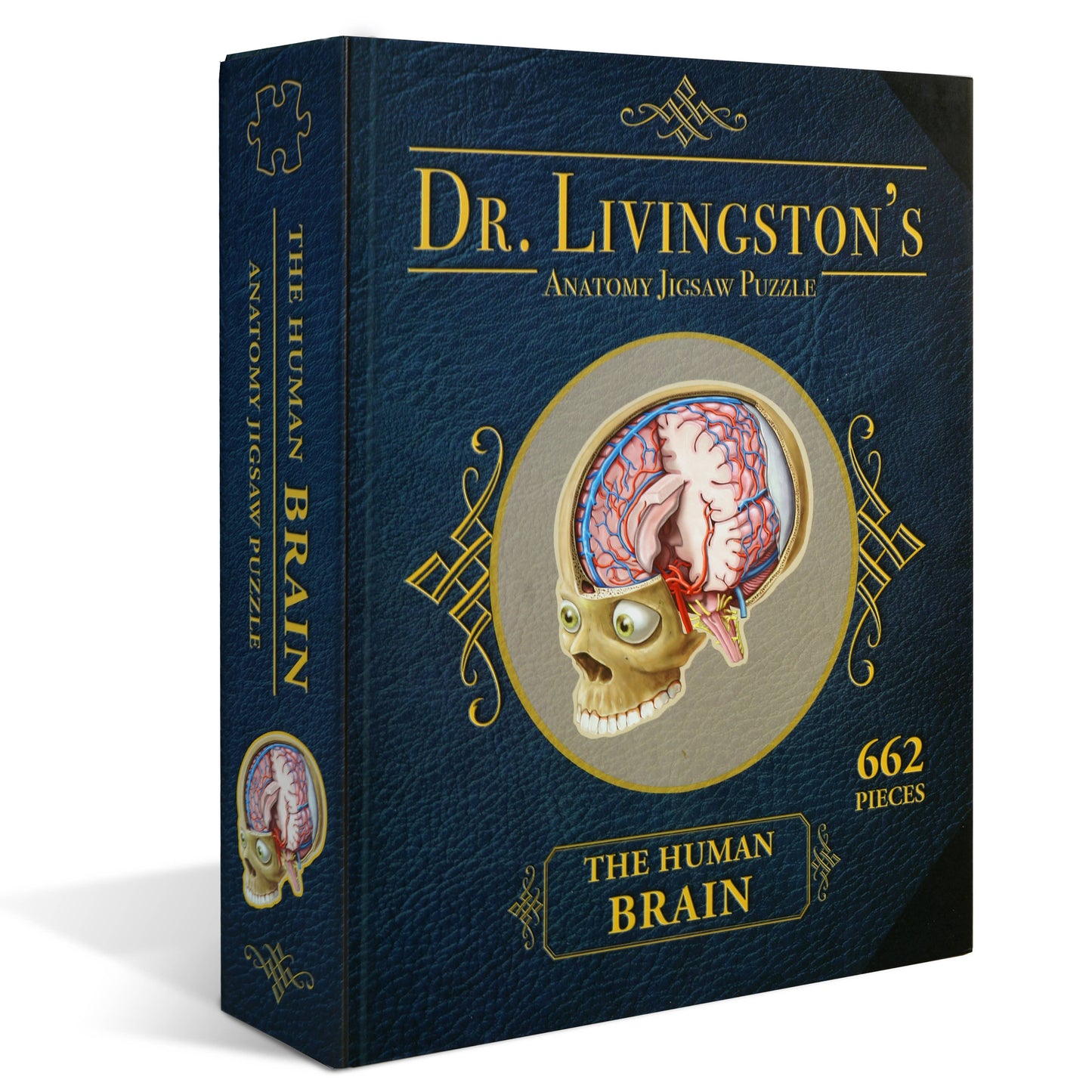 Dr. Livingston's Anatomy Jigsaw Puzzle: The Human Brain