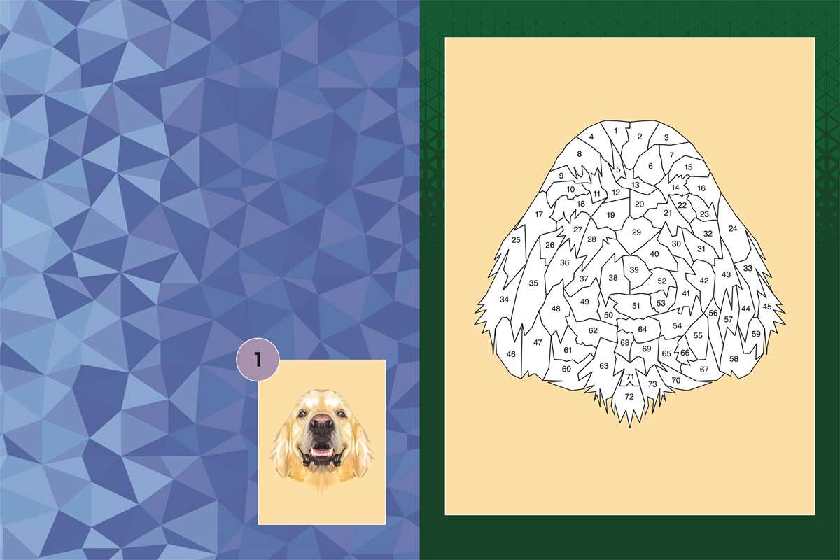 Sticker By Numbers-Dogs