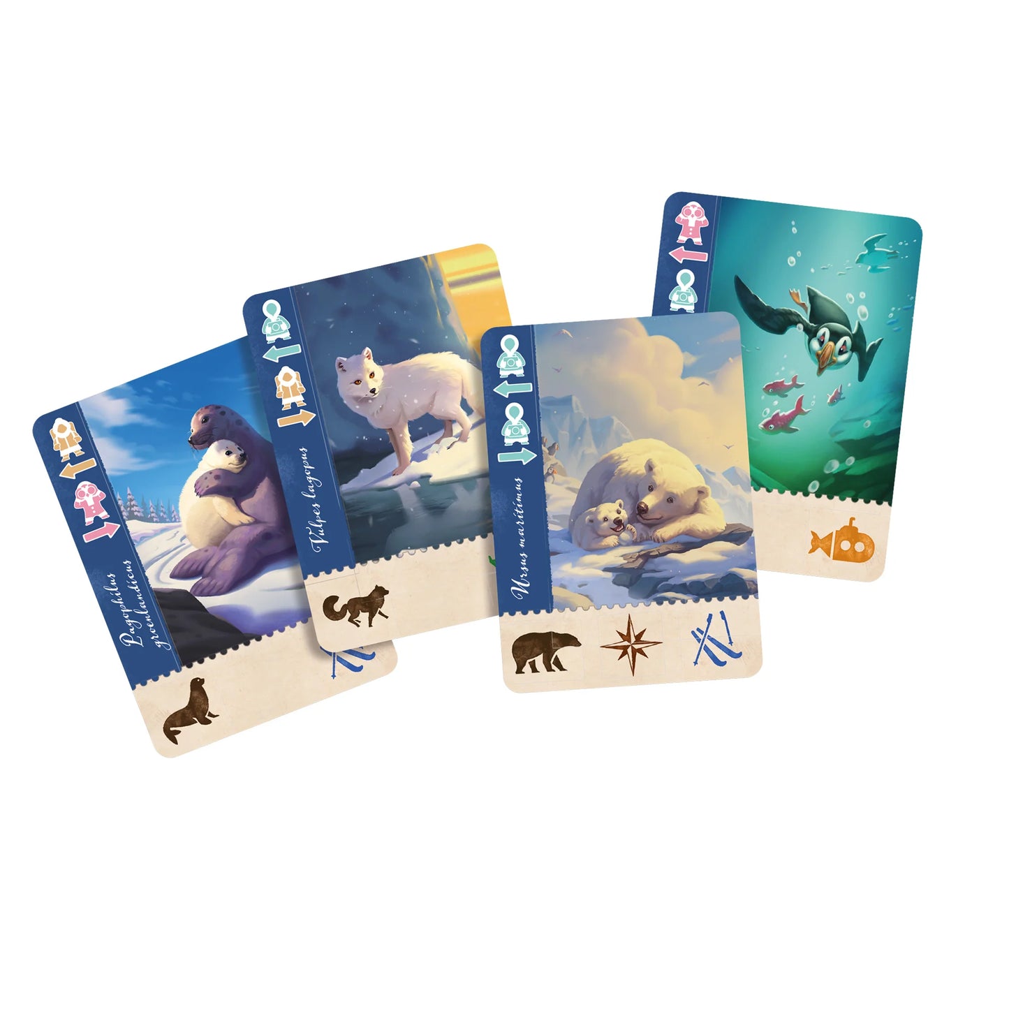 Borealis: Arctic Expedition