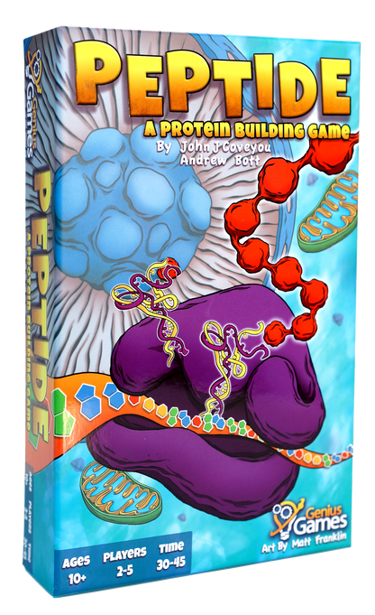 Peptide Protein Building Game