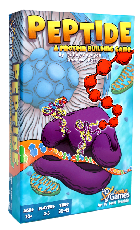 Peptide Protein Building Game
