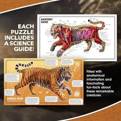 Turn N Learn: Tiger Puzzle
