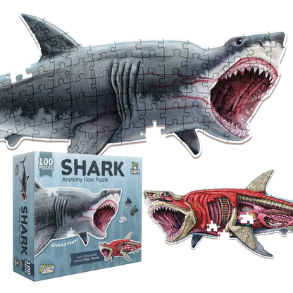 Turn N Learn: Shark Puzzle