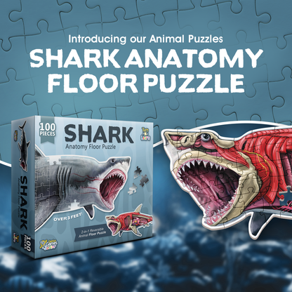 Turn N Learn: Shark Puzzle