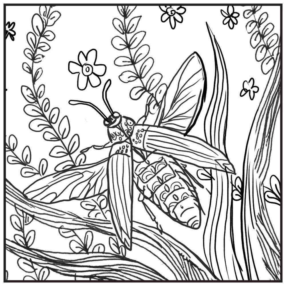 Super Scratch Art Pads: Mythical Creatures