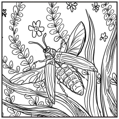 Super Scratch Art Pads: Mythical Creatures