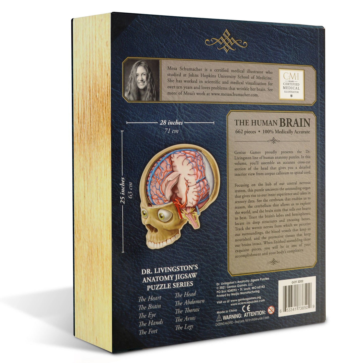 Dr. Livingston's Anatomy Jigsaw Puzzle: The Human Brain