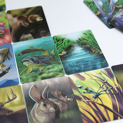 Ecosystem - An Habitat Building Card Game