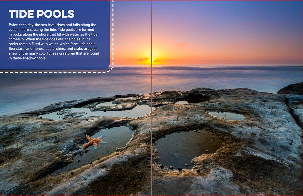 Discovery Real Life Sticker Book: Ocean