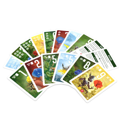 Pixies: Flower Power